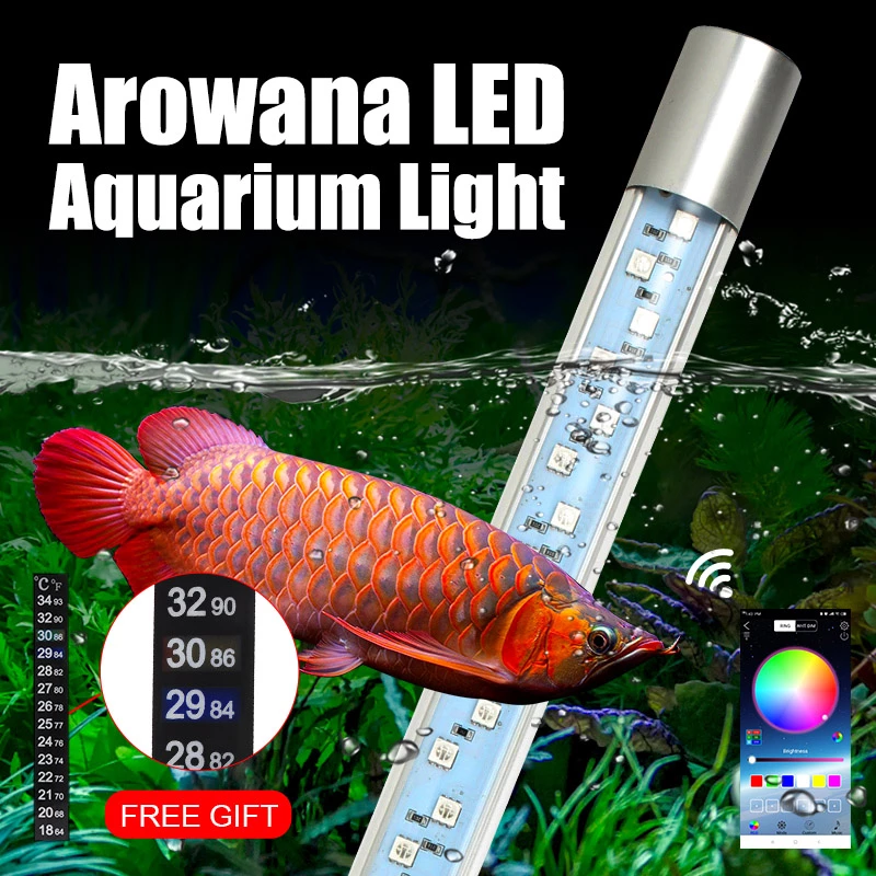 opmerking vers Wierook Submersible LED Aquarium Light Remote Control RGB Arowana Lighting 6W/12W  at Low Price Buy Online | Senzeal
